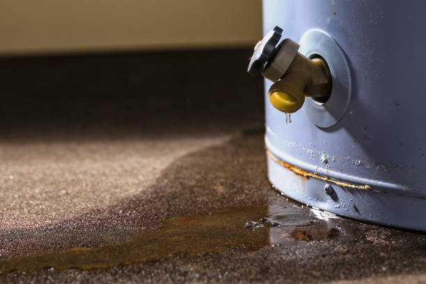 Best 24-hour water damage restoration  in Woodruff, SC