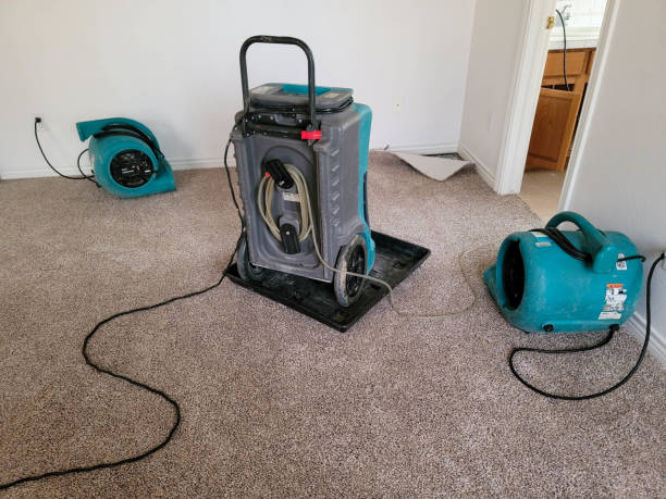 Best Carpet water damage restoration  in Woodruff, SC