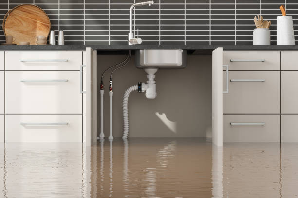 Best Water damage restoration company  in Woodruff, SC