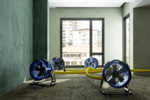 Best Commercial water damage restoration  in Woodruff, SC