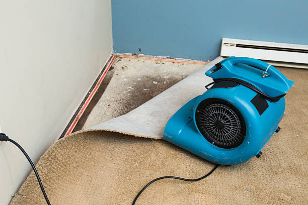 Best Water damage cleanup near me  in Woodruff, SC